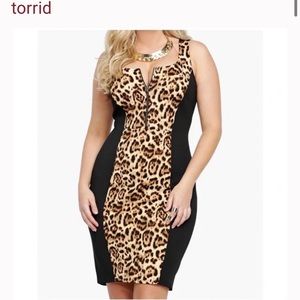 Cute Leopard dress